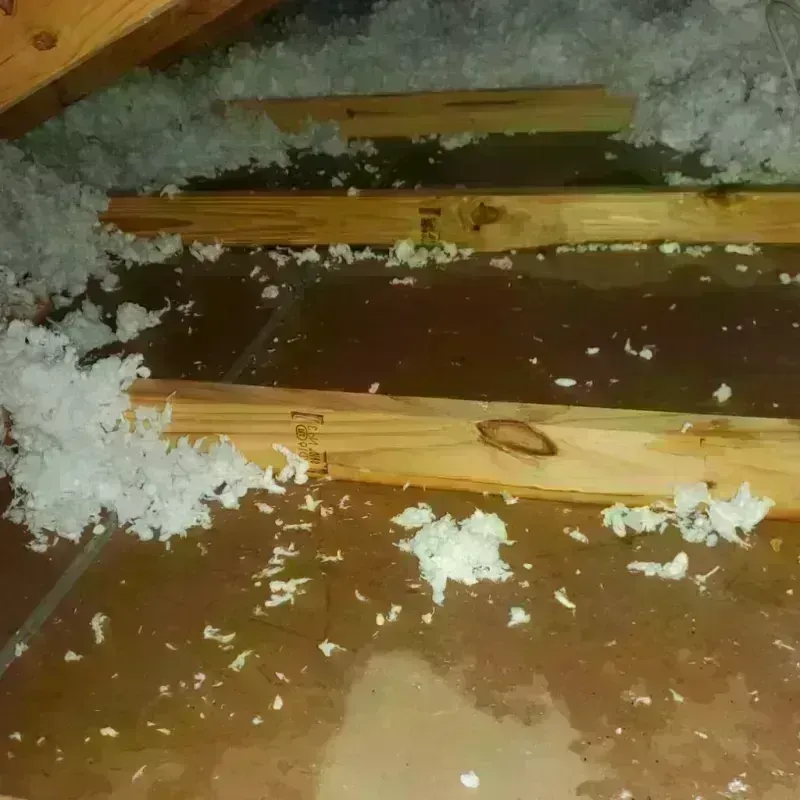 Attic Water Damage in Monterey, VA